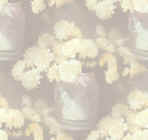 yellow_mums_carnations-soft-seamless2.jpg (48030 byte)