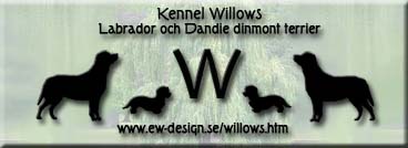 Länk till Kennel Willows hemsida